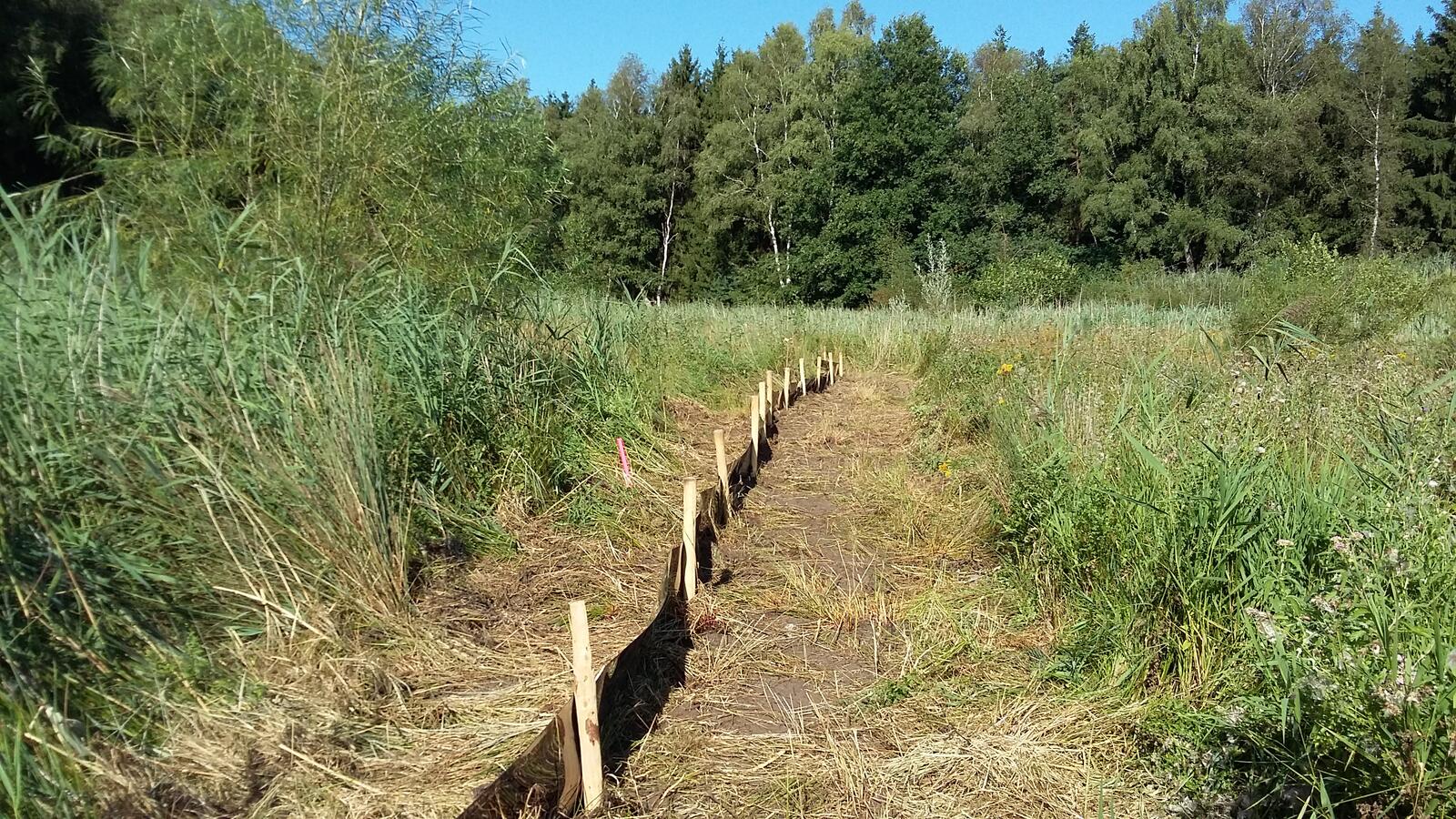Een amfibieënscherm weert amfibieën uit een werkgebied.