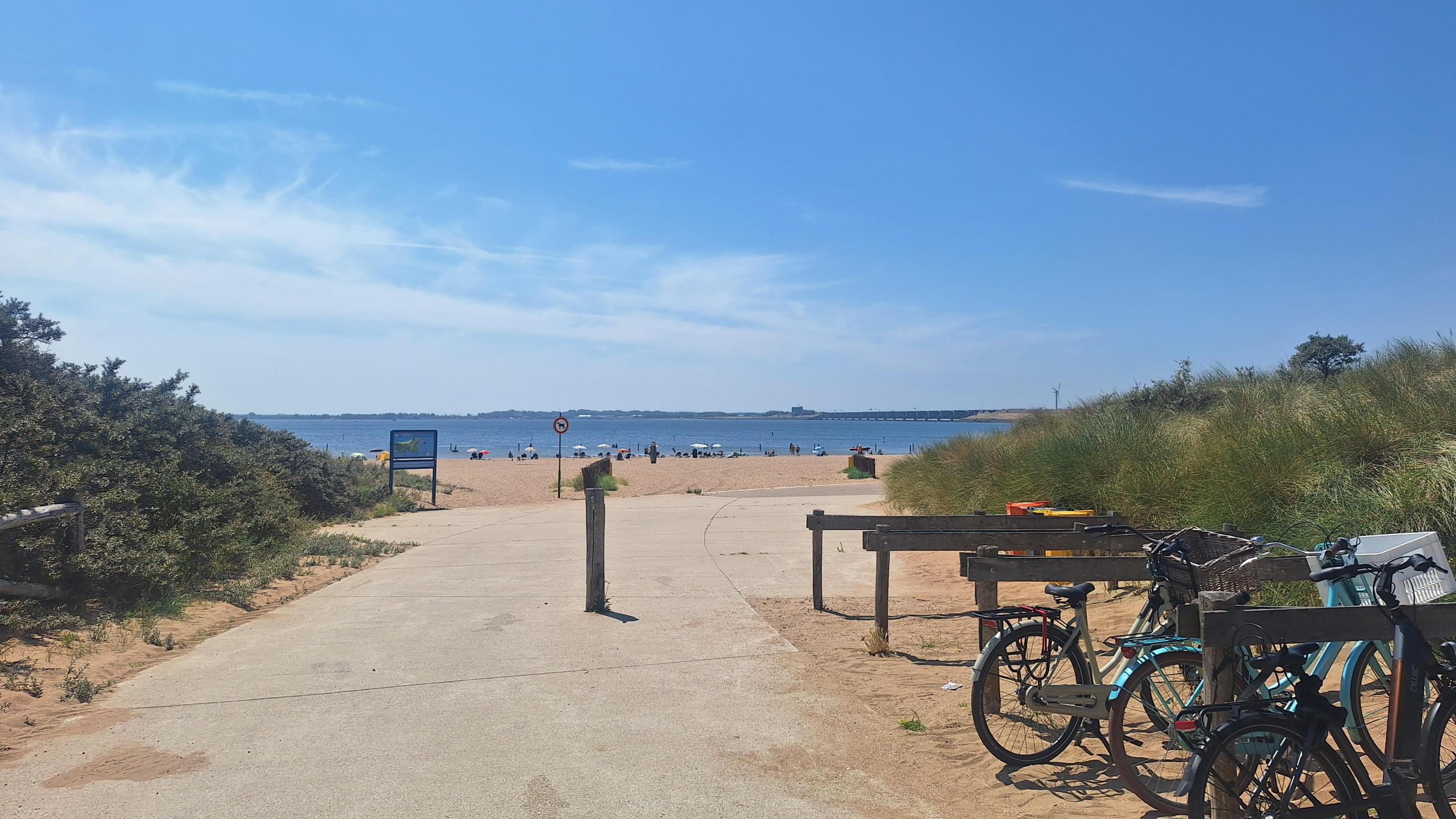 Zomerse omstandigheden tijdens veldwerk