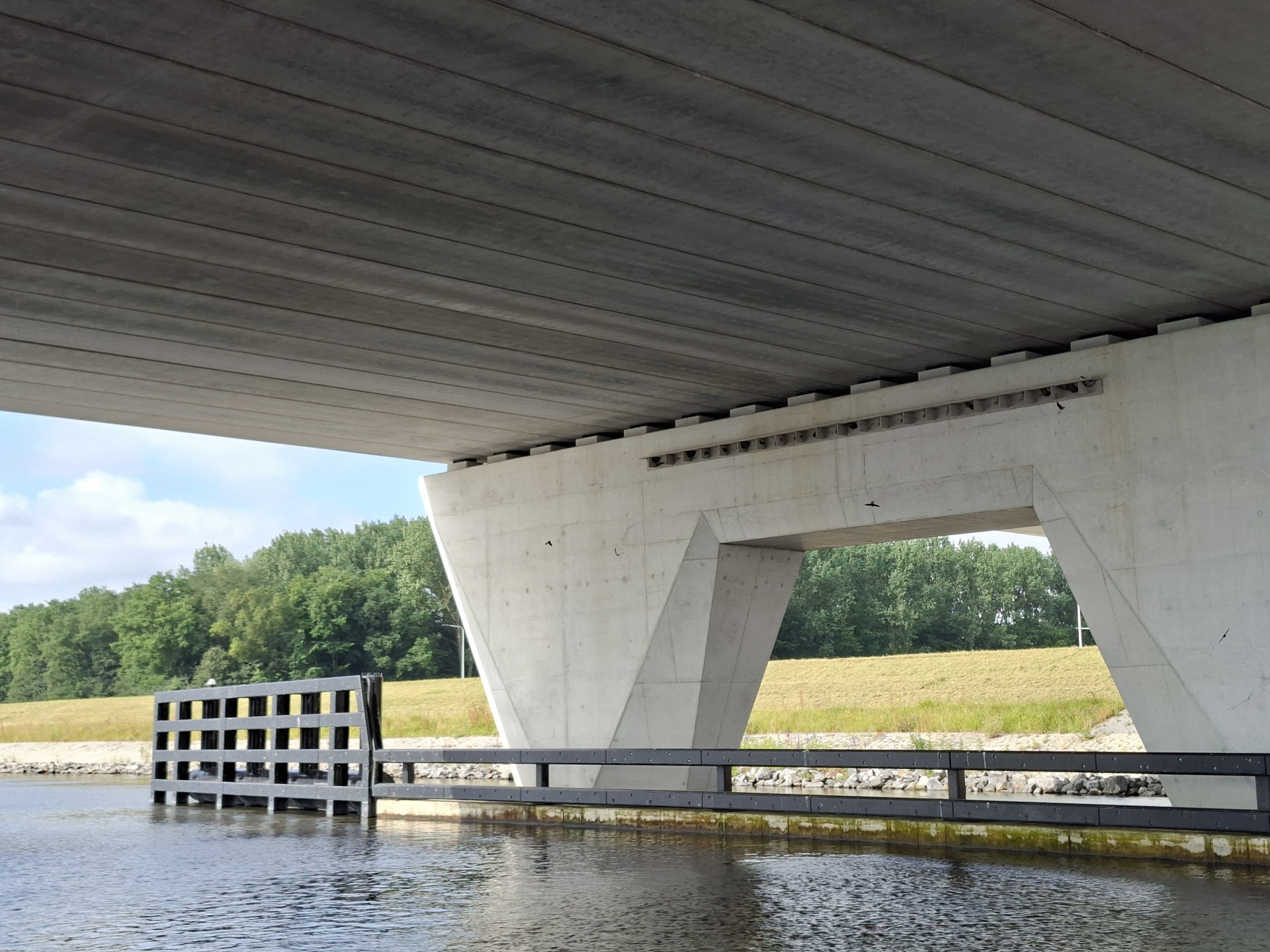 Kunstnesten onder de nieuwe Roggebotbrug