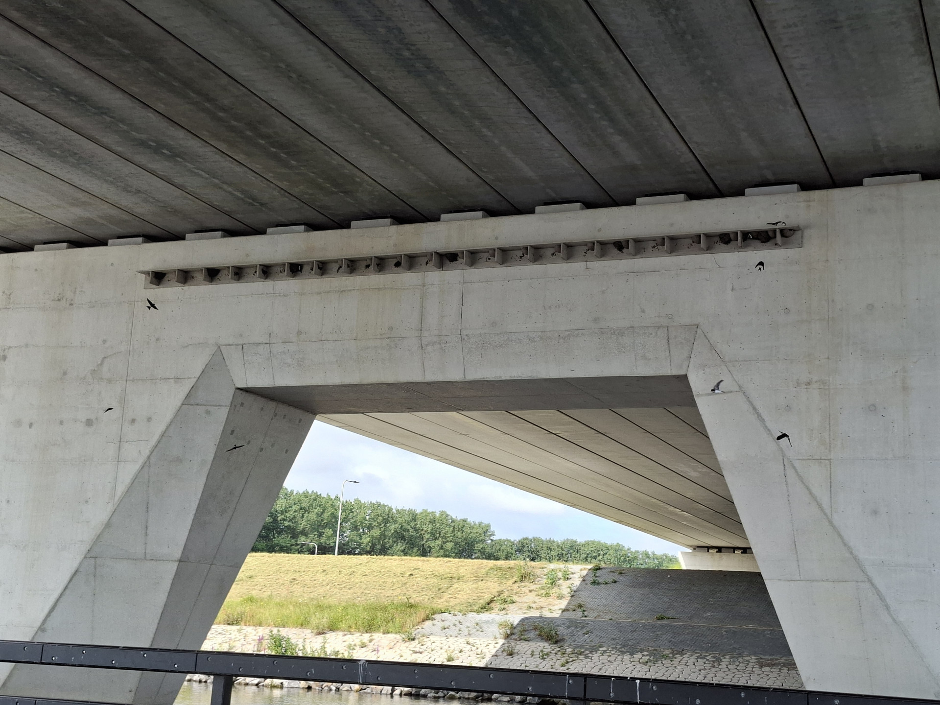 Kunstnesten onder de nieuwe Roggebotbrug