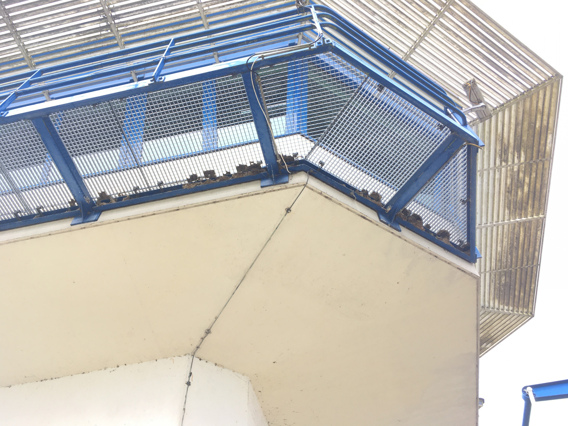 Aangetroffen huiszwaluwnesten op het sluiswachtersgebouw van de Roggebotsluis