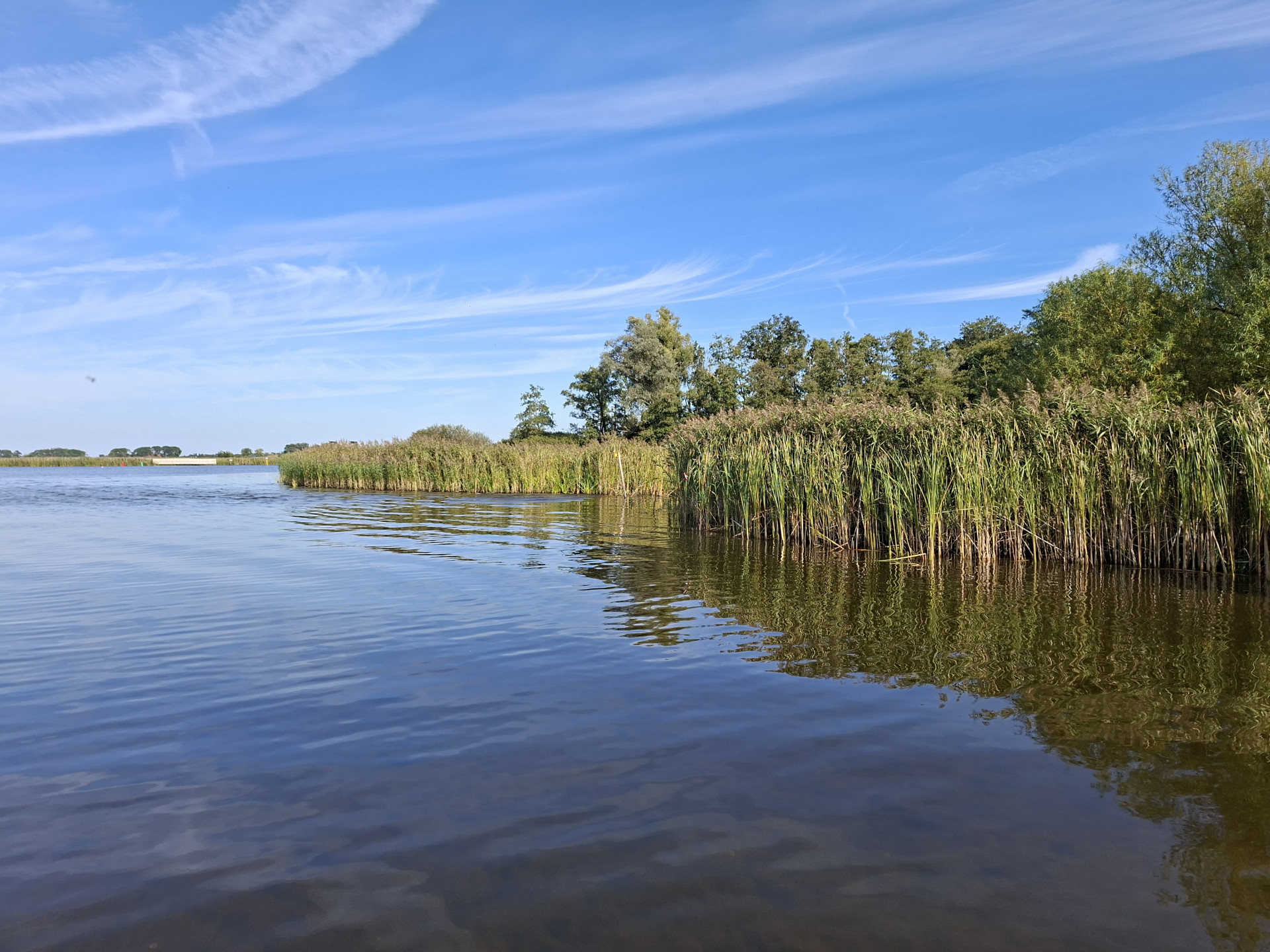 Riet langs het Drontermeer