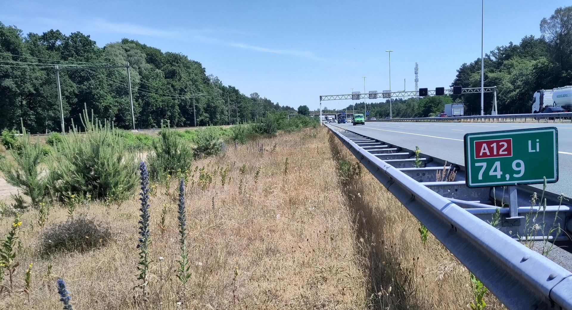 Wegberm langs de A12