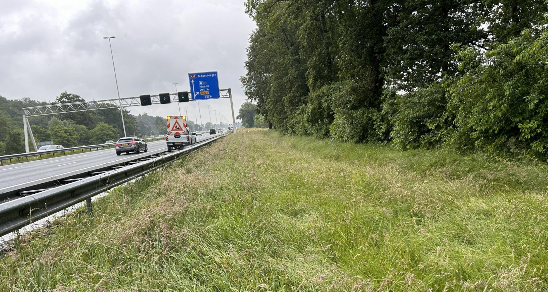 Wegberm langs de A12